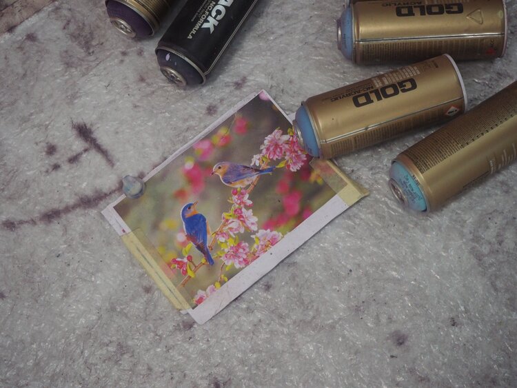 Shoppi Tivoli